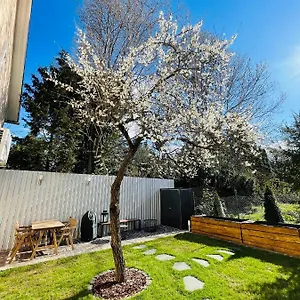 hotellátogatás